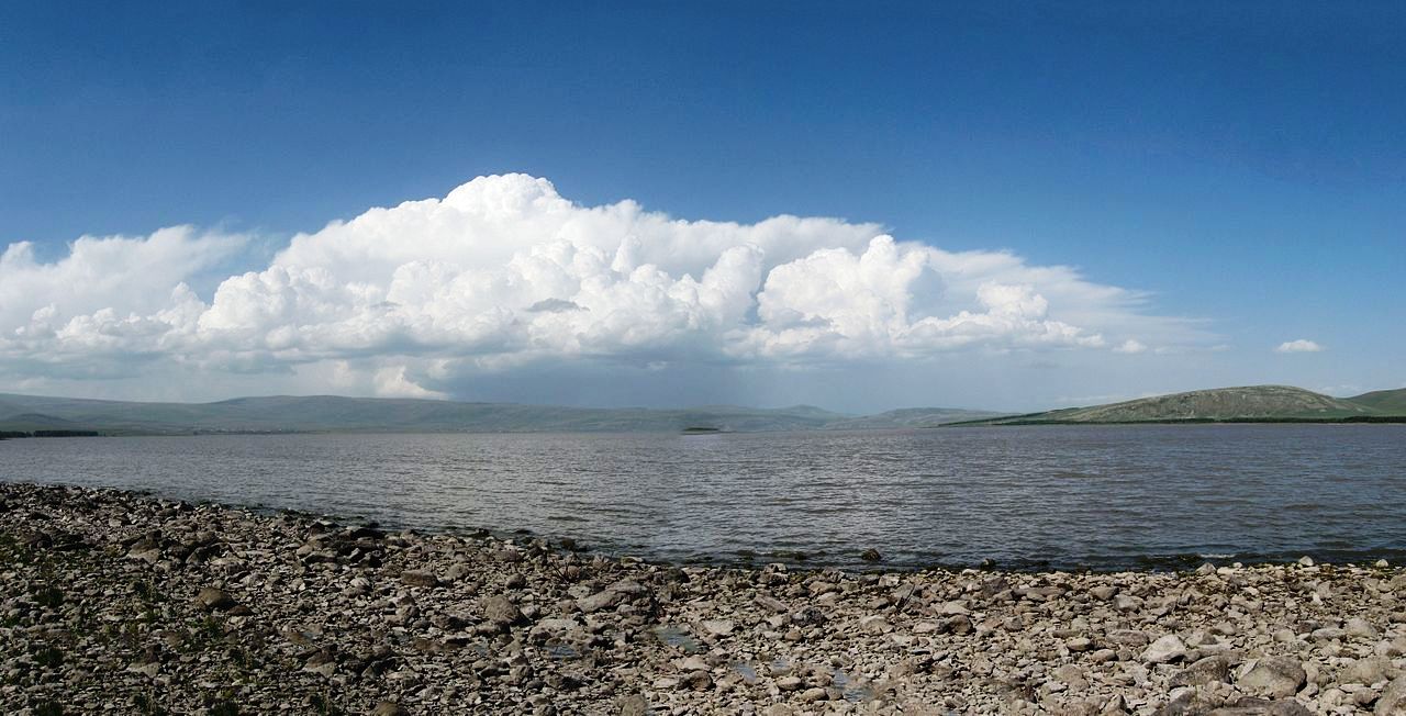 Թռչուններ և վայրի բնություն «Արփի լիճ» ազգային պարկում