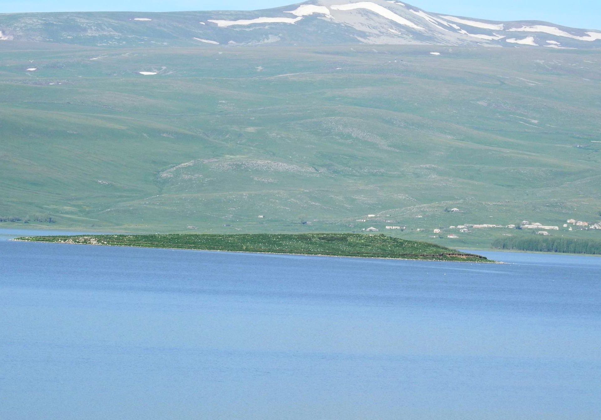 Արփի լիճը՝ բարձրավանդակի վրա տարածված լիճը, Շիրակի սարահարթում