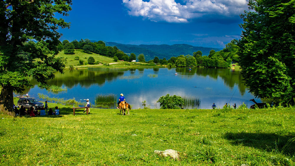 Դսեղ գյուղը՝ բարձրավանդակի վրա, Լոռու լեռների և Դեբեդի կիրճի ֆոնին