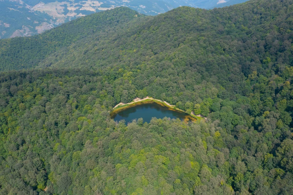 Անտառային արահետ Գոշ լճի մոտ, ծառերի սաղարթների տակ